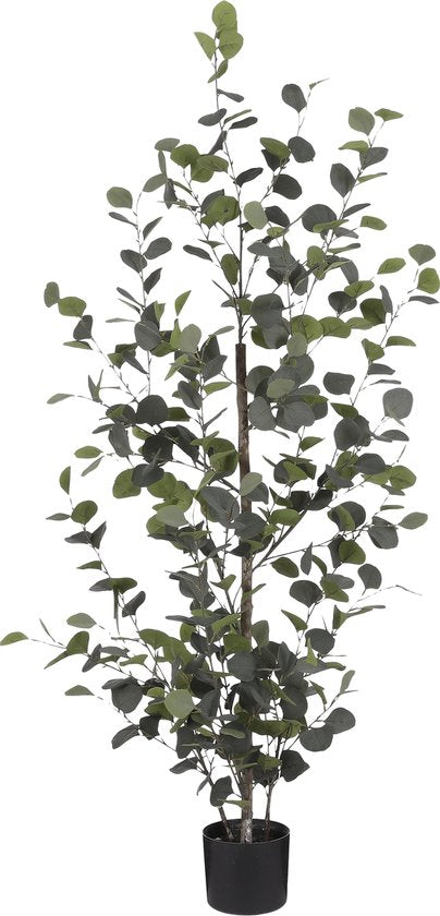 Plante Artificielle Eucalyptus - Mica Decorationsen - Pot de Fleur - H150 x Ø30 cm - Vert