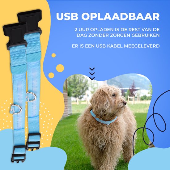 Collier lumineux pour chien - Extra fort - XS 28 cm à 38 cm - Collier pour chien - Collier à mousqueton - Ajustable - Réfléchissant
