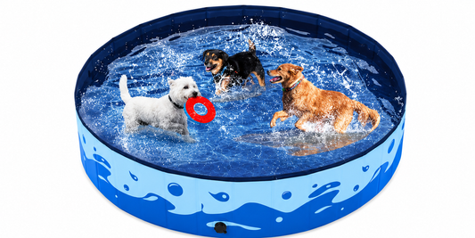Piscine pliable pour chiens Yaheetech XXL - Bleue - 160 x 160 x 30 cm