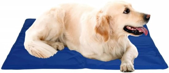 Tapis rafraîchissant pour chiens - 65 x 50 cm - Bleu