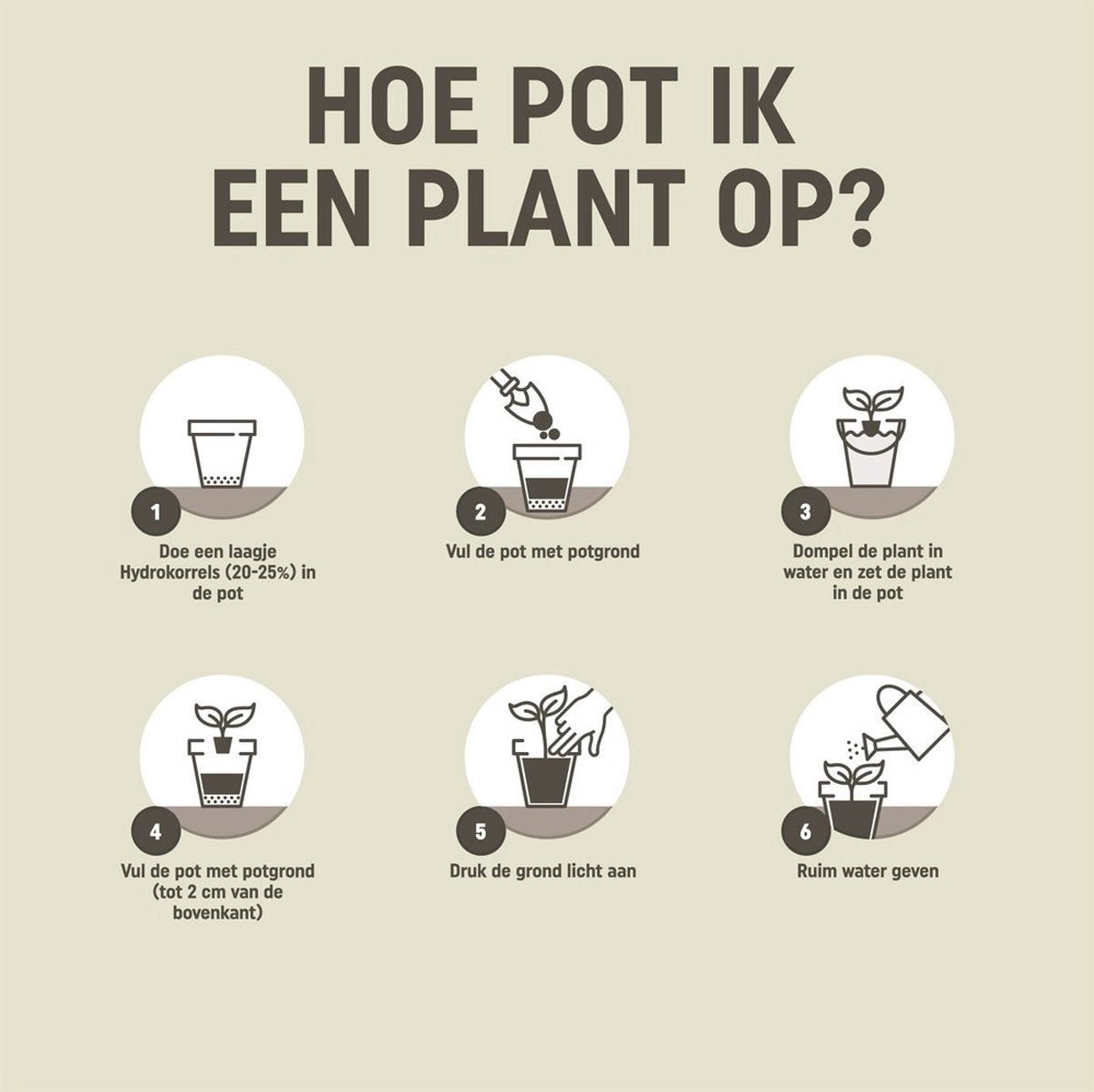 Pokon Plantes d'intérieur Terreau - 10l - Terreau (plantes d'intérieur) - 6 mois de nutrition