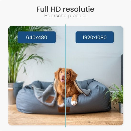 Gologi pet camera - Caméra pour chien - Caméra pour animaux - Caméra de sécurité - Caméra de sécurité - Pour tous les animaux - Avec wifi