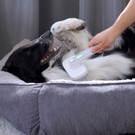 Brosse ionique PiddiPet IonBrush pour poils d'animaux – Autonettoyante et alimentée par piles – Soin du pelage pour chiens et chats – Réduit l'électricité statique, rend le pelage brillant – Lot de 2