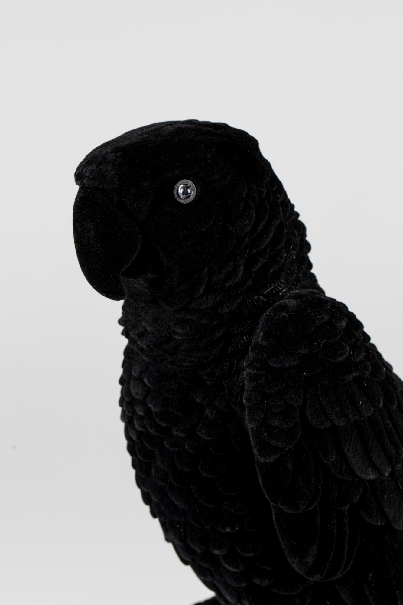 Bold Monkey Parrot Lamp - LED - Velours & PVC - 17 x 19 x 33cm - Noir