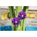 Table à eau Step2 Summer Showers Splash Tower – 66 cm – Bleu