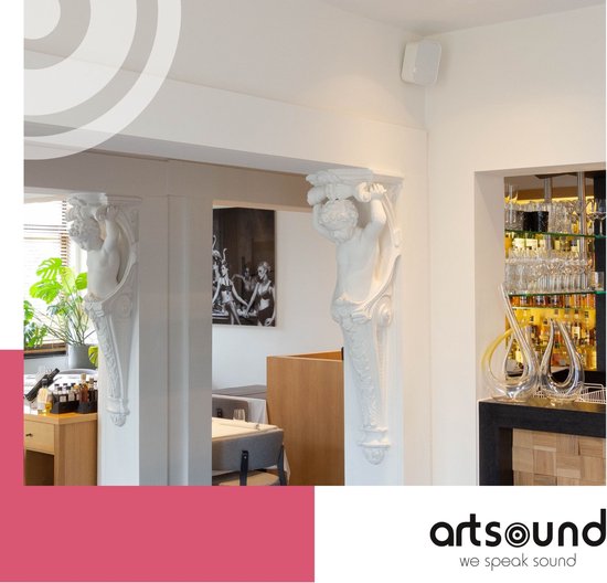 Artsound UNI30, Jeu de 2 haut-parleurs passifs, haut-parleur hi-fi 2 voies, 20-60 watts, support mural avec joint à rotule, convient pour des pièces jusqu'à 40 m² telles que cuisine, café, entrepôt, couleur : blanc