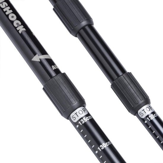 Sportana Bâtons de marche nordique Sportana - gris