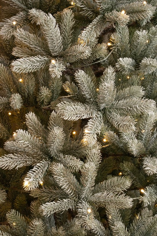 Black Box Trees Nagoya Artificial Christmas Tree with Warm White LED Lights - H180 x Ø108 cm - Green Frosted