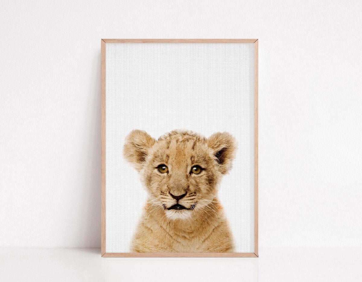 Affiches d'annimaux pour la chambre d'enfant - Generic - 6 Affiches - 21x30 cm - Papier robuste - Safari