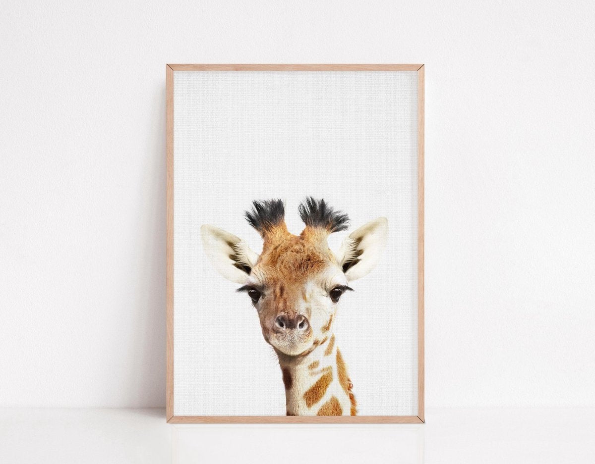 Affiches d'annimaux pour la chambre d'enfant - Generic - 6 Affiches - 21x30 cm - Papier robuste - Safari