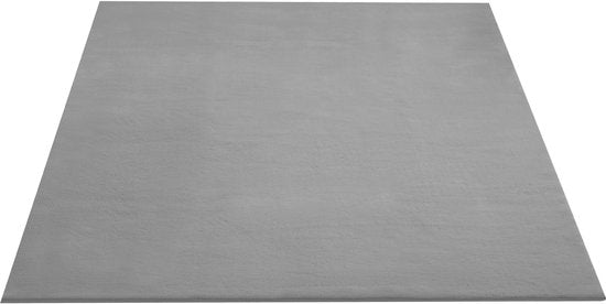 tectake® Tapis à poils courts - 120 x 170 cm - Gris - Tapis pour le salon, la chambre à coucher, la salle à manger - Facile d'entretien et lavable - Sous-couche antidérapante - Antiallergique - Diverses tailles et couleurs