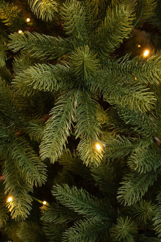 Black Box Trees Nagoya Artificial Christmas Tree with Warm White LED Lights - H240 x Ø138 cm - Vert