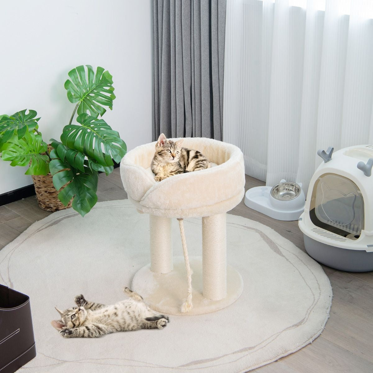 Arbre à chat Coast Cat Tree griffoir pour chat avec chaise douce tour sistal pour chat beige