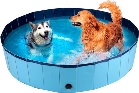 maxxpro Piscine pour chien - 160 x 30 CM - grandes races de chiens - Baignoire pour chien pliable - fond antidérapant - avec valve de vidange - bleu