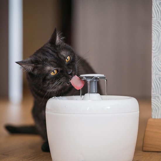 TrevoPet® Fontaine à boire pour chat - Fontaine à eau pour chat - Fontaine pour chat - Whisper Silent - Fontaine à boire - Abreuvoir pour chat - 2,5 litres - Filtre inclus - Blanc
