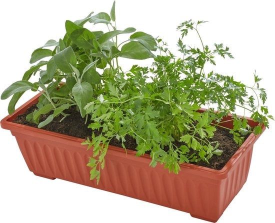 tectake - Support vertical pour plantes avec 4 bacs - 403445