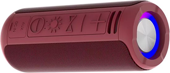 Denver Enceinte Bluetooth sans fil - Effets de lumière - Boîte à musique - Appairage TWS - BTV213BD