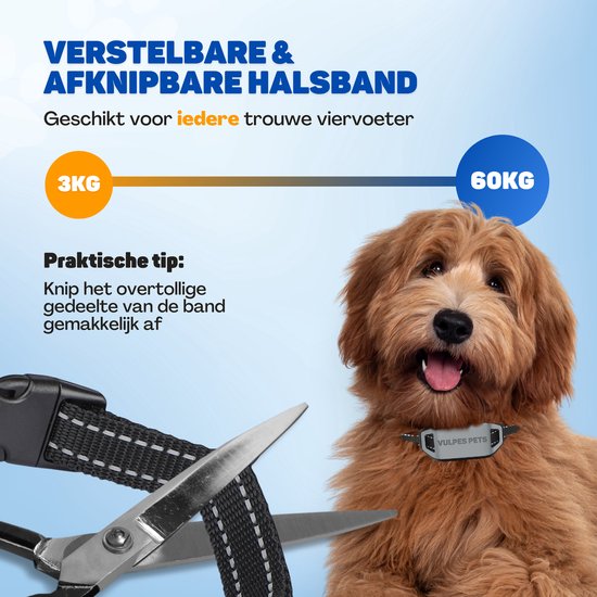 Vulpes Goods® Collier anti-aboiement MAX - Collier d'éducation sans choc - Dispositif anti-aboiement pour petits et grands chiens - Imperméable - Rechargeable - Vibration et Audio - 3 colliers supplémentaires