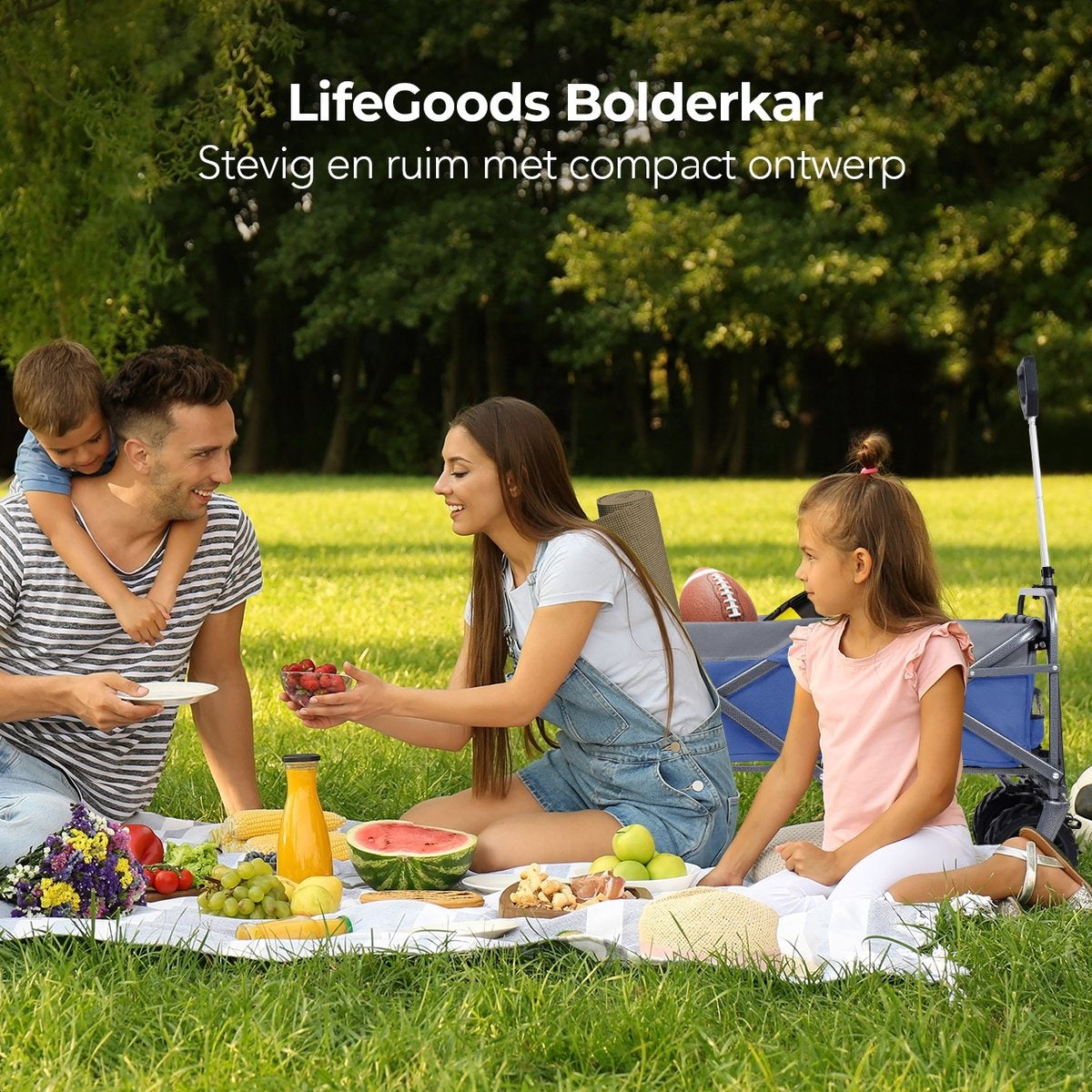 LifeGoods Wagon - pliable - jusqu'à 80KG - 94L - polyester lavable - 98x45cm - bleu/gris