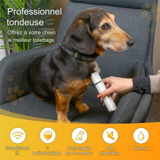 Tondeuse sans fil pour chien 4 en 1 Nuvance - pour poils épais - 7 accessoires