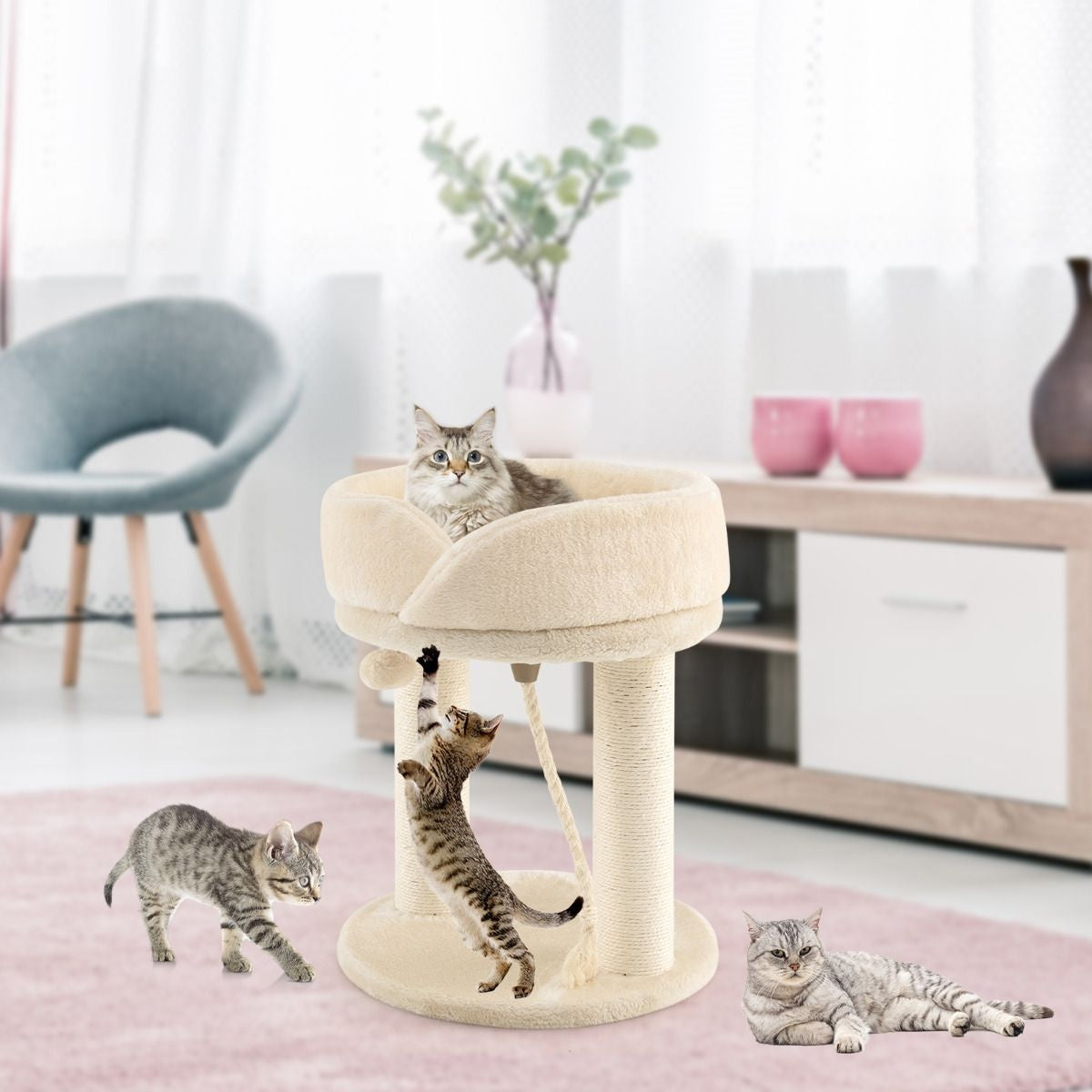 Arbre à chat Coast Cat Tree griffoir pour chat avec chaise douce tour sistal pour chat beige