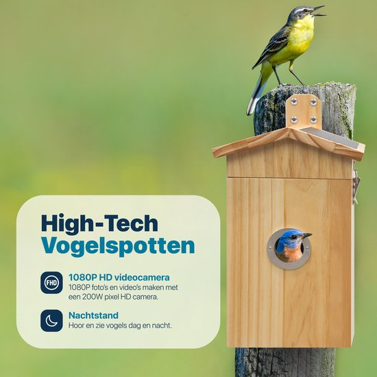 Maison d'oiseau avec caméra et audio - Maison d'oiseau suspendue - Bois - Nichoir - Double panneau solaire