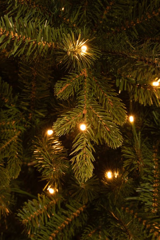 Black Box Trees Harma Sapin de Noël artificiel étroit avec lumières LED - H215 x Ø66 cm - Vert