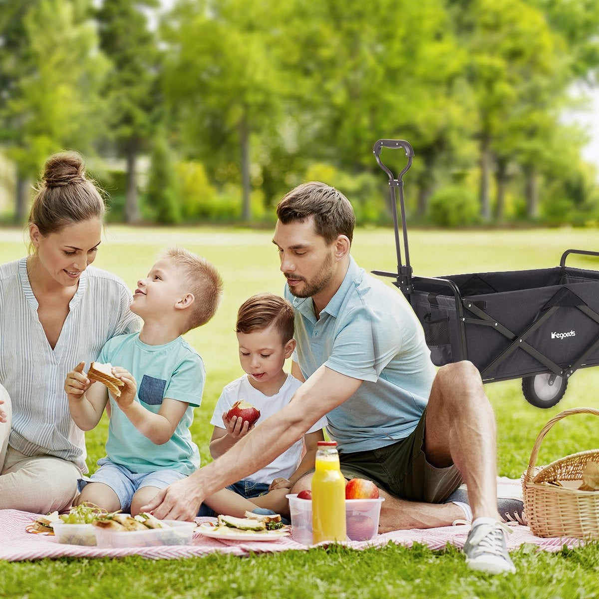 Chariot pliable à roulettes - LifeGoods - 84 x25x45 cm - MAX 70kg - noir