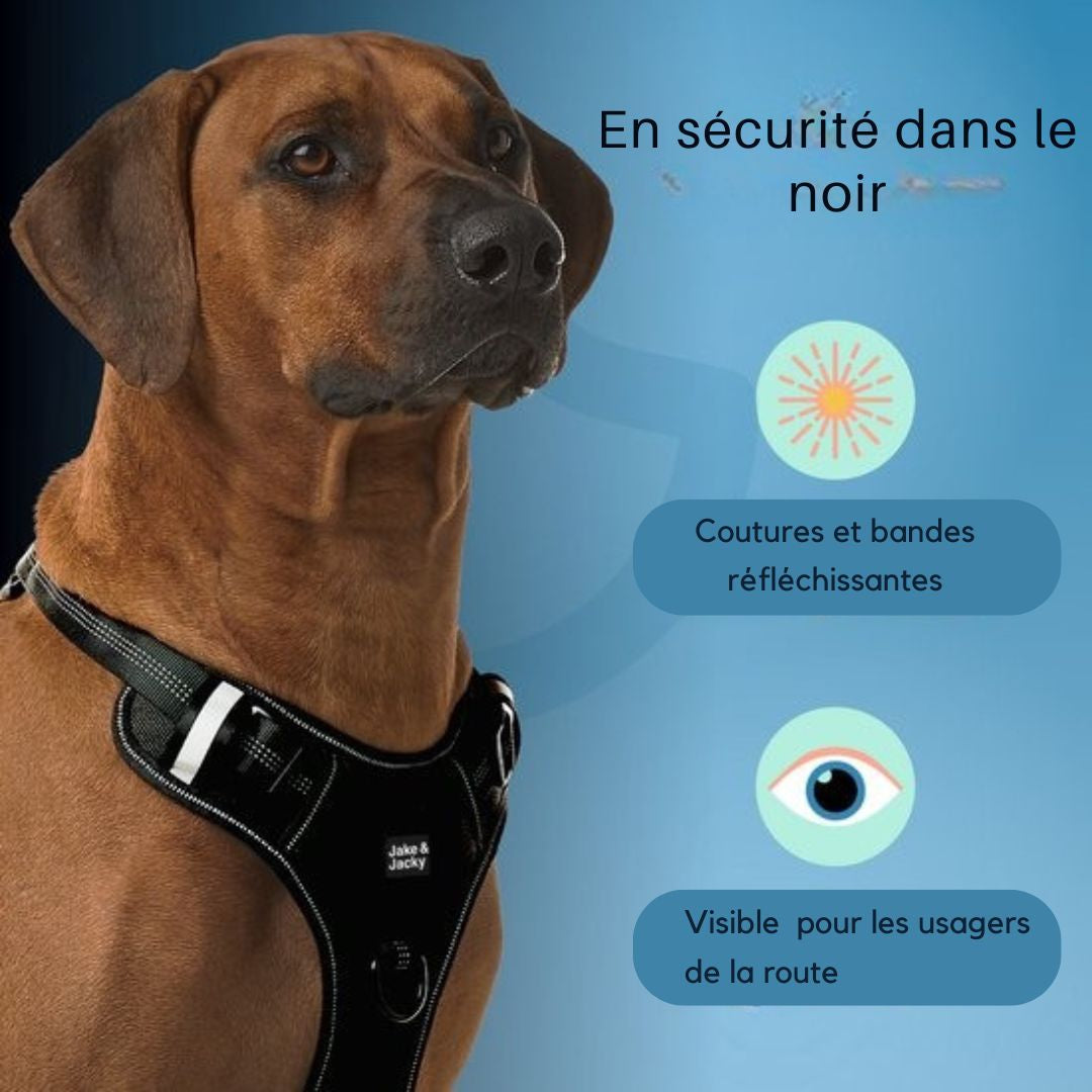 Harnais pour chien Jake et Jacky - Harnais anti-traction - Réfléchissant - Taille L - Noir