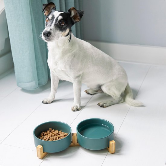 Gamelle pour chat et chien en céramique - Gamelles doubles avec support - Abreuvoir - 2x 400 mL - Vert mat