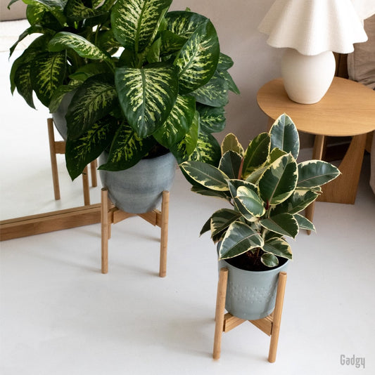 Gadgy Bamboe Plantenstandaard 2 st - Plantentafel - Plantentafeltje voor binnen - Plantenrek - Uitschuifbaar - Hout - Ø 20 tot 30 cm