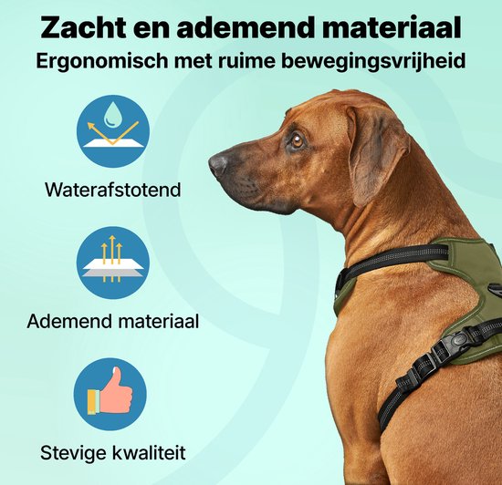Harnais pour chien Jake and Jacky - Harnais anti-fugue - Réfléchissant - Vert - Taille L