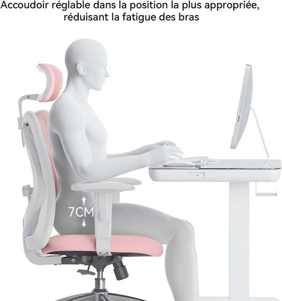 SIHOO M18 : chaise de bureau ergonomique – structure en maille respirante – appui-tête et soutien lombaire réglables – gris