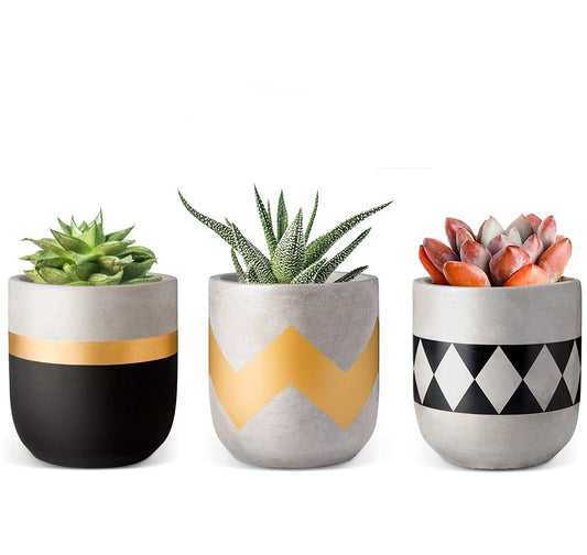 Gadgy Plantes Artificielles d'Intérieur - 3 pièces - Plantes de lard artificielles en pot de pierre - Fausses plantes - 13 à 16 cm