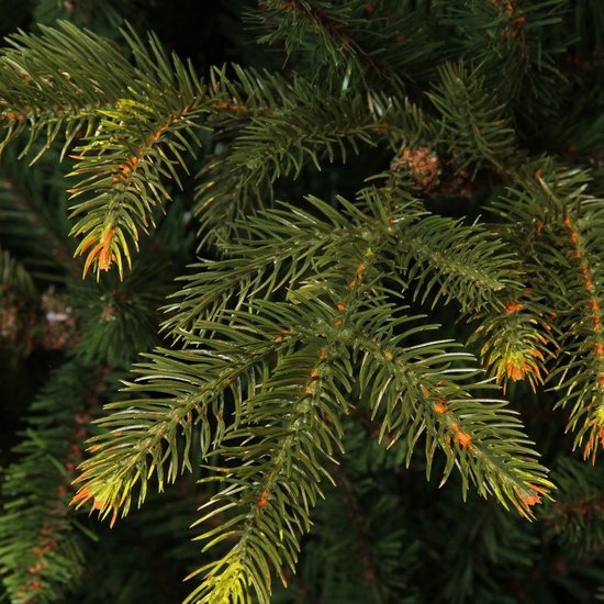 Black Box Trees Frasier - Sapin artificiel - Sapin de Noël à la forme naturelle et capricieuse - Aiguilles en PE et structure articulée - Décoration de Noël d'intérieur - H 155 x P 109 cm - Vert