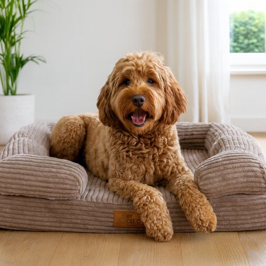 By Cee Cee Panier orthopédique pour chien - Coussin orthopédique pour chien - Lit pour chien - Tissu côtelé - Pour chiens de taille moyenne - Taupe moka - 108x81cm - Emma