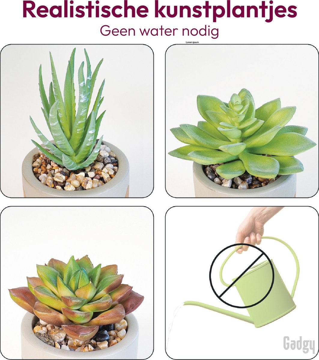 Gadgy Plantes Artificielles d'Intérieur - 3 pièces - Plantes de lard artificielles en pot de pierre - Fausses plantes - 13 à 16 cm