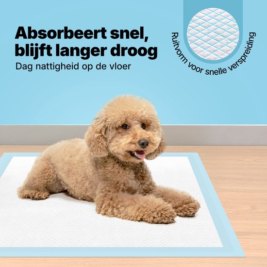 Jake and Jacky : tapis d'apprentissage de la propreté pour chiots avec bande adhésive, 360 pièces - Apprentissage de la propreté pour chiens - Tapis absorbants pour chiens - Toilettes pour chiens - Linges absorbants - Linges pour chiots - Tapis pour chiot