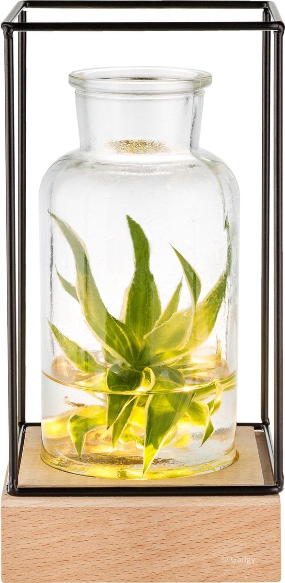 Gadgy Vase avec éclairage LED - Vase lampe - Vase en verre avec lampe - Cadeau de fête des mères - Hydroponique - Fonctionne avec des piles - Lampe de table - Ø11cm