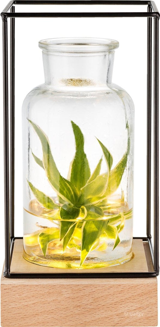 Gadgy Vase avec éclairage LED - Vase lampe - Vase en verre avec lampe - Cadeau de fête des mères - Hydroponique - Fonctionne avec des piles - Lampe de table - Ø11cm