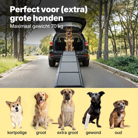 Jake et Jacky : Rampe d'accès pour chien - Escalier pliable pour chien - Rampe antidérapante pour grands chiens - Pliable - Réfléchissante - 180 x 55 cm - Poids maximal : 70 kg