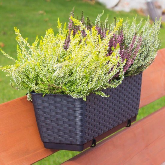 Pot de fleurs Boîte à fleurs Ratolla PW 39x15x14cm ANTRACIET Prosperplast