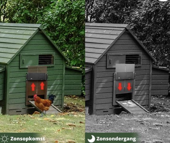 Couvertures pour poules quadrupèdes - Chickenguard - Couvertures automatiques pour poules