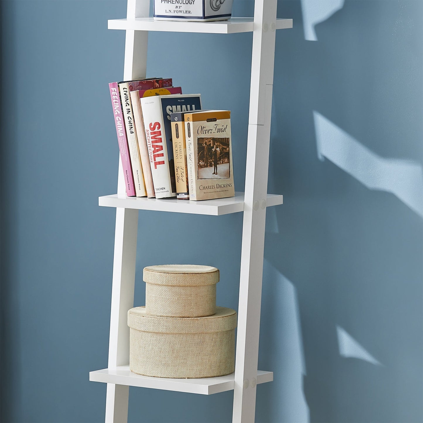 SoBuy Armoire-échelle - 4 étagères - 33x180x23 cm - Blanc