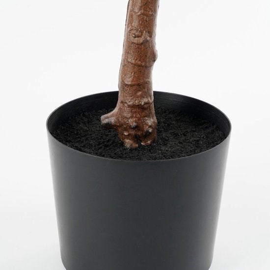 Mica Decorations Ficus Lyrata Plante artificielle - Plante d'intérieur en plastique dans un pot noir - Résistante à l'eau et aux UV, pour l'intérieur et l'extérieur - Décoration botanique sans entretien - H 150 x Ø 50 cm - Vert