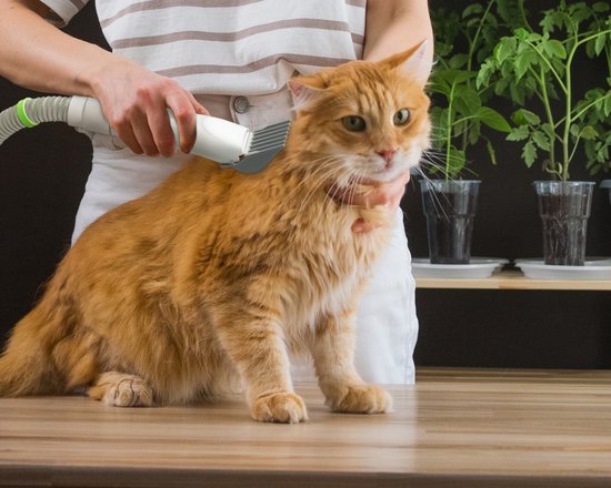 Kit de soins pour animaux de compagnie Lifenaxx LX-052
