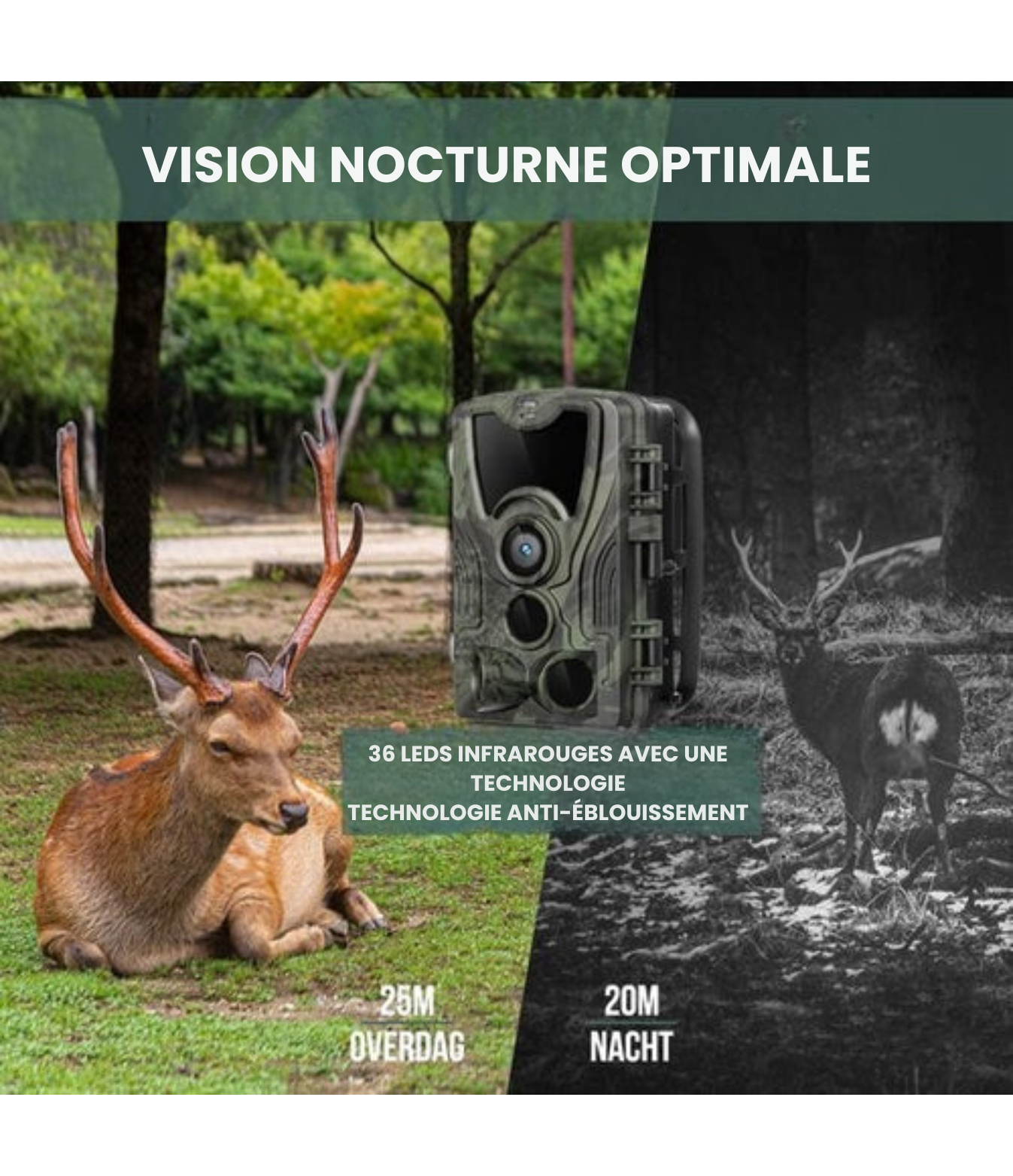 Strex - Wildlife Camera - avec vision nocturne - 36MP 4K ULTRA HD - Waterproof - Incl. 32 GB SD - Wildlife Camera