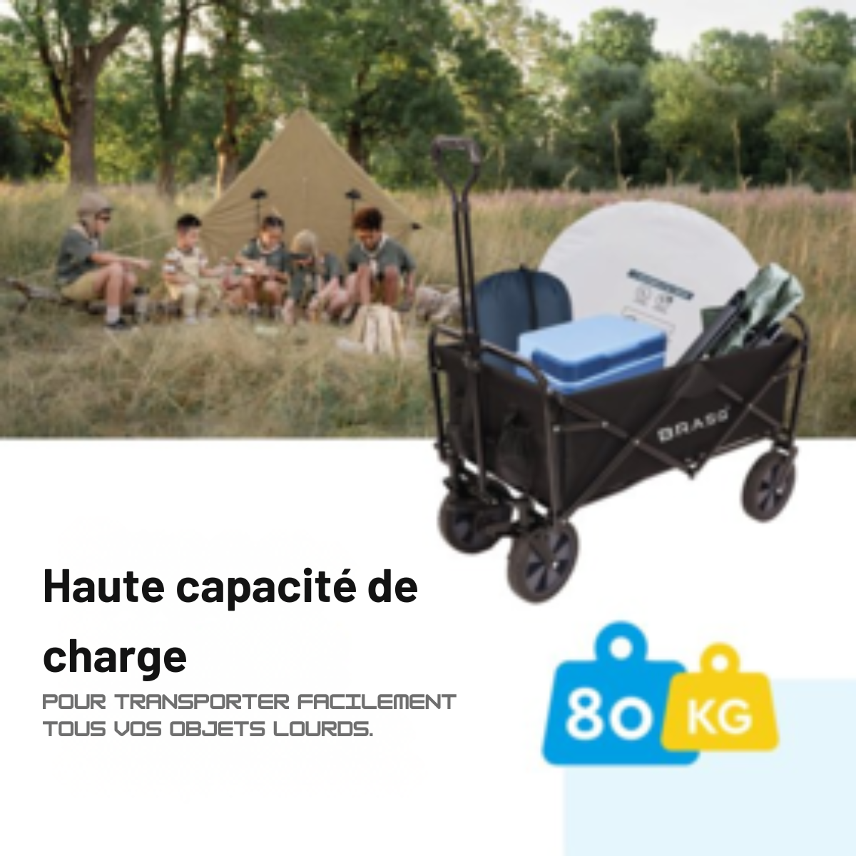 BRASQ Wagon pliable - 100 litres - Capacité 80 KG - Roues pivotantes avec frein - 90x51x100 CM - Poignée réglable - Wagon pliable - Compact - Noir