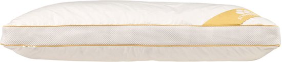 Balette - Greenfirst - Oreiller - Duvet - 50x70