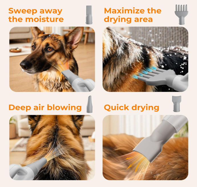Sèche-cheveux pour animaux de compagnie Pecute MAS-520 - Blanc et gris - 4 embouts - Air chaud et froid